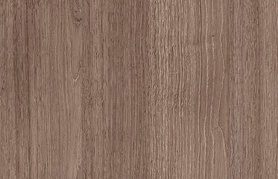 Дуб Шамони тёмный
